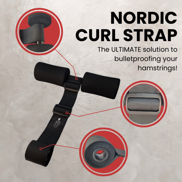Nordic ham curl strap parts closeups