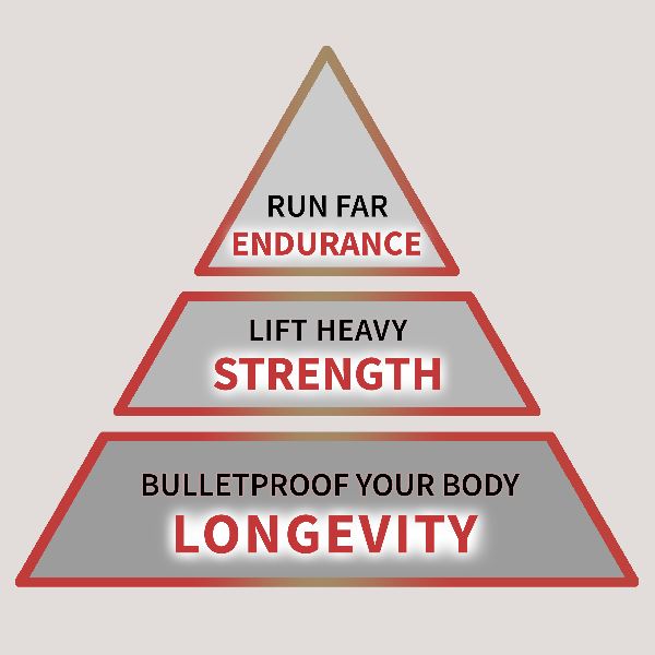 a pyramid diagram showing hybrid athlete values