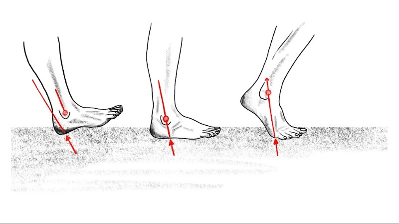 A depiction of heel striking, midfoot striking, and forefoot striking